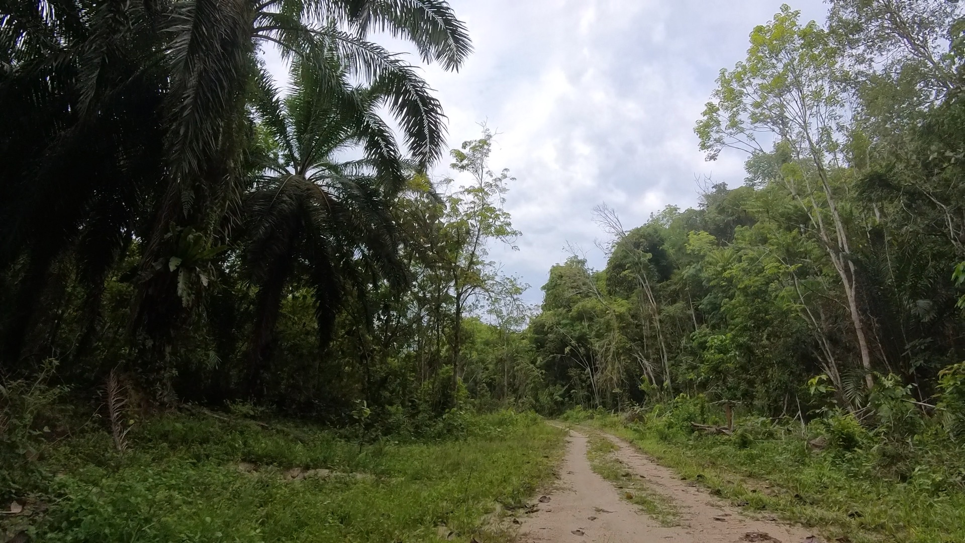 Ulu Kinta Dam Gravel Loop — Ulu Kinta, Perak, Malaysia